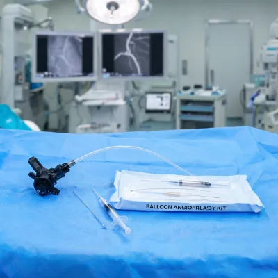 vascular catheter